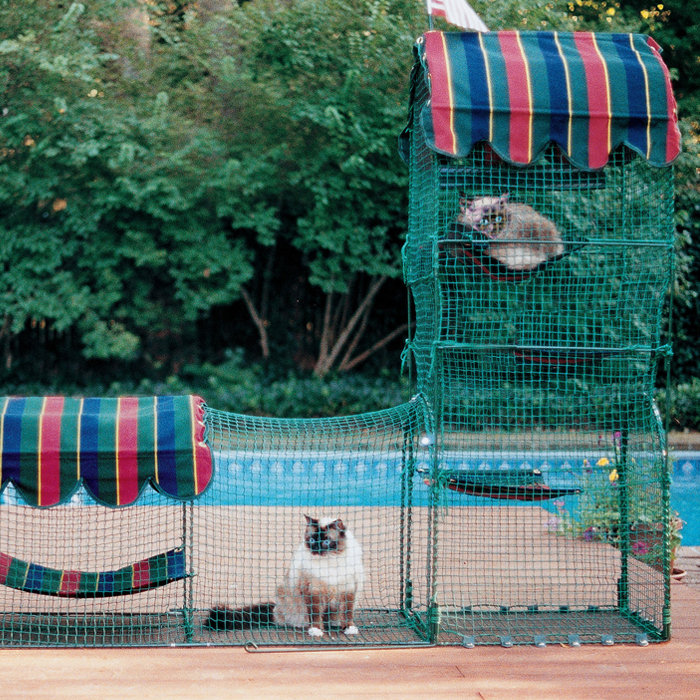 Kittywalk Systems Town and Country Portable Outdoor Playpen with Door & Reviews Wayfair Canada